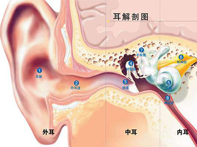 蚌埠金通實(shí)業(yè)、蚌埠冷藏車(chē)